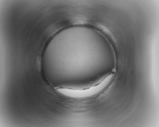X0000088691217200706211921