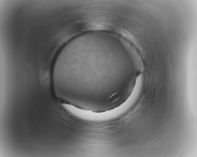X0000088691218200706211921