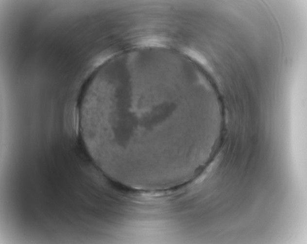 X0000088691219200706211921