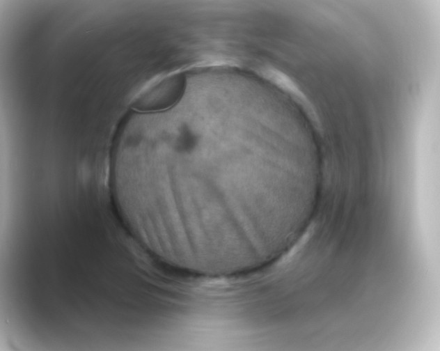 X0000088691220200706211921