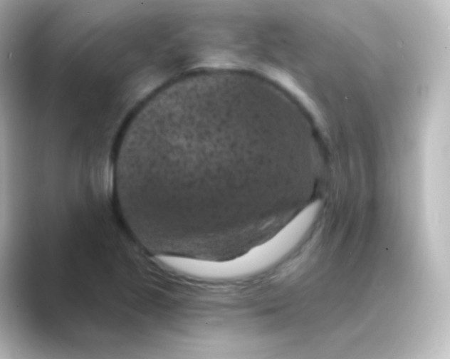 X0000088691221200706211921