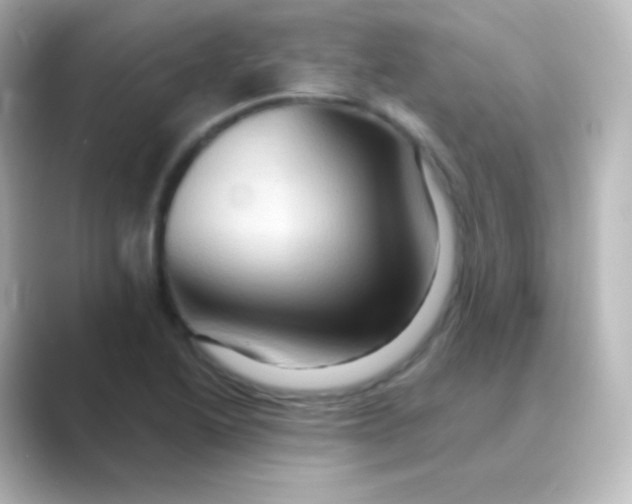 X0000088691222200706211921