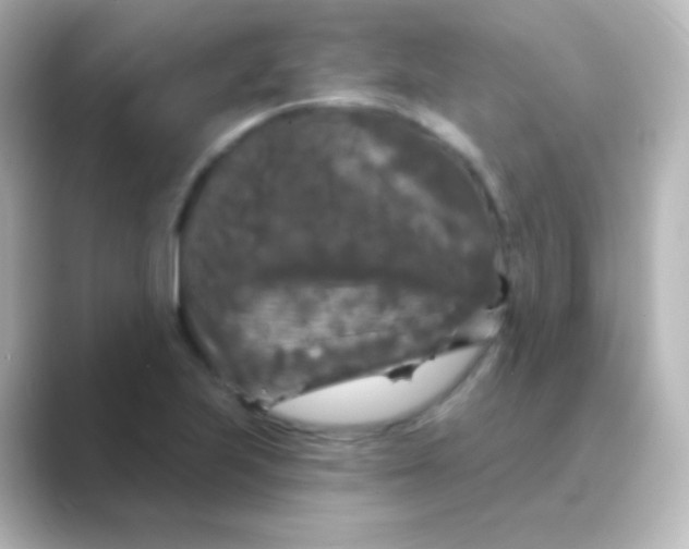 X0000088691223200706211921