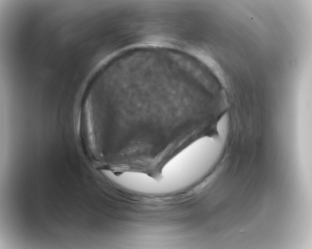 X0000088691224200706211921