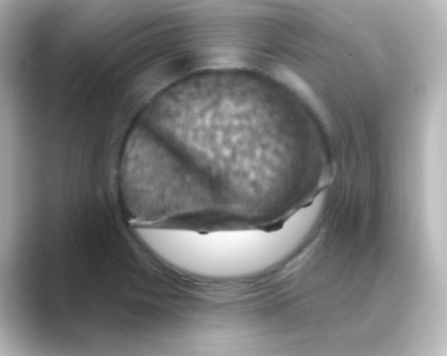 X0000088691225200706211921