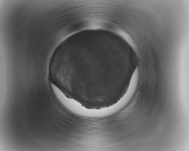X0000088691226200706211921