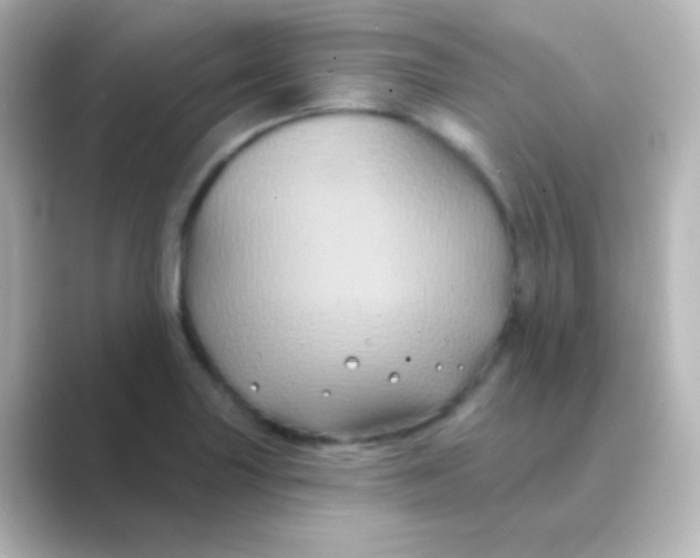 X0000088691227200706211921