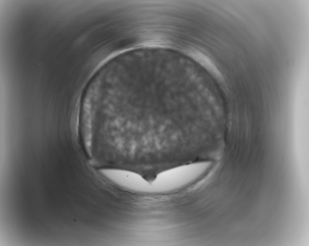 X0000088691228200706211921
