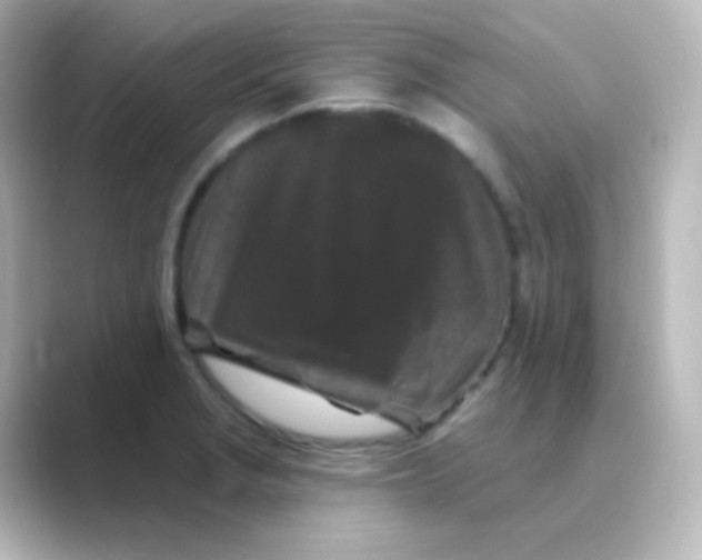 X0000088691229200706211921