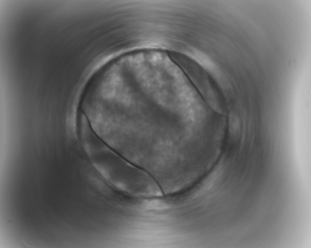 X0000088691230200706211921