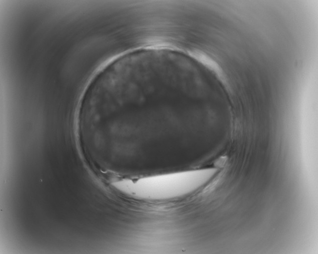 X0000088691231200706211921