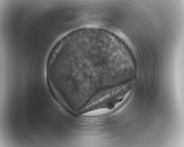 X0000088691232200706211921