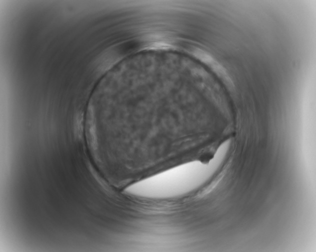 X0000088691233200706211921