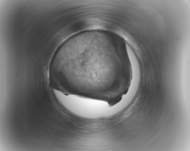 X0000088691234200706211921