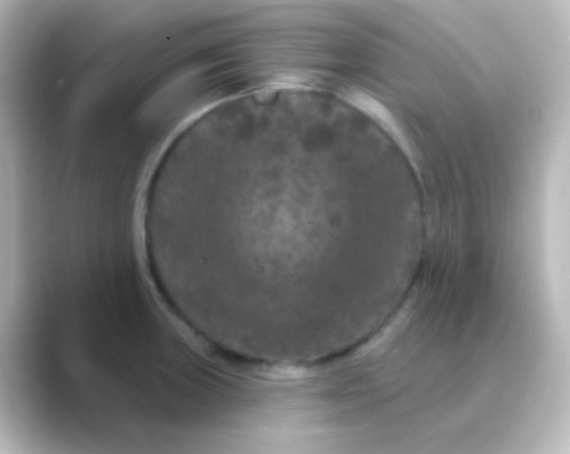 X0000088691235200706211921