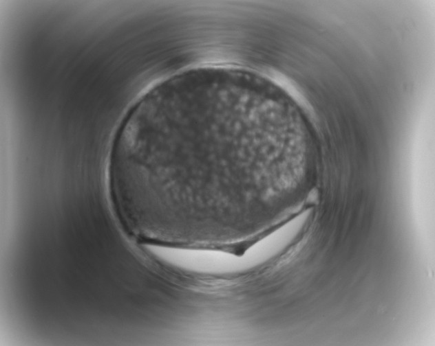 X0000088691237200706211921