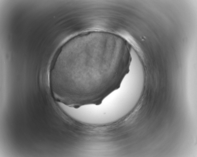 X0000088691238200706211921