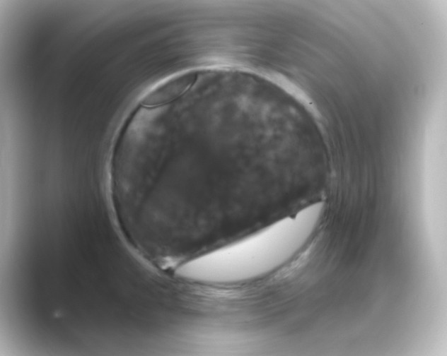 X0000088691239200706211921