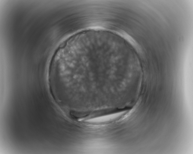 X0000088691240200706211921