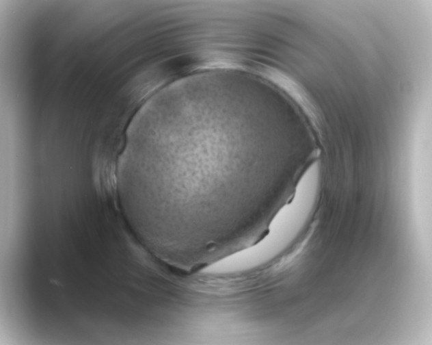 X0000088691241200706211921