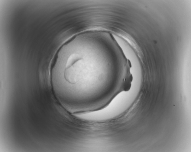 X0000088691242200706211921