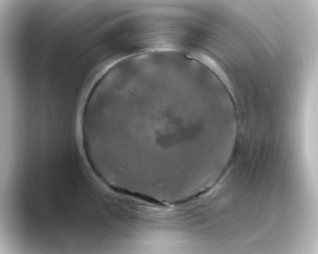 X0000088691243200706211921