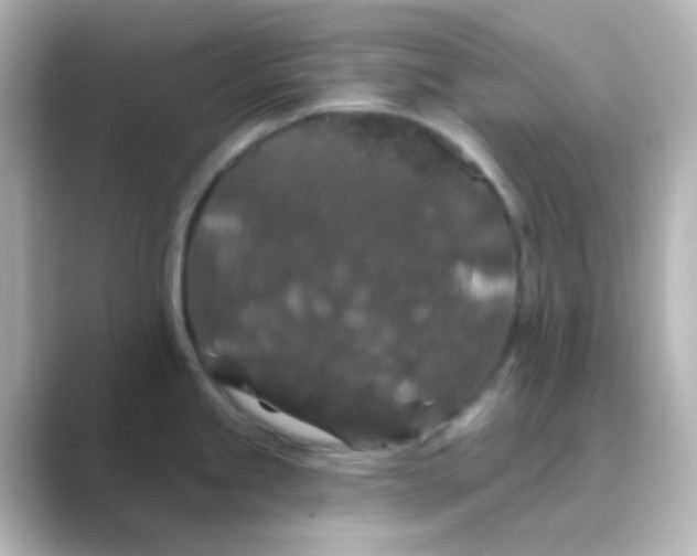 X0000088691245200706211921