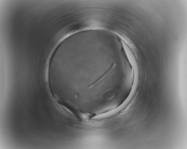 X0000088691246200706211921