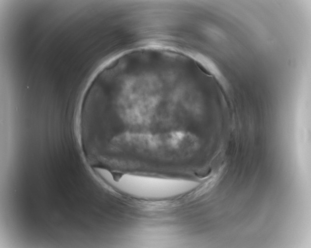 X0000088691247200706211921