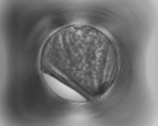 X0000088691248200706211921