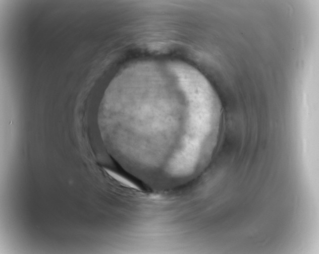 X0000088691249200706211920