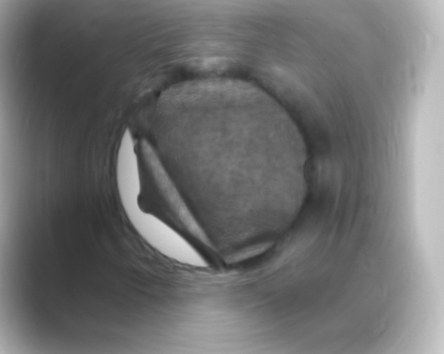 X0000088691250200706211920