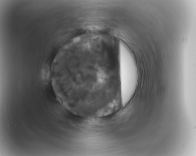 X0000088691251200706211920