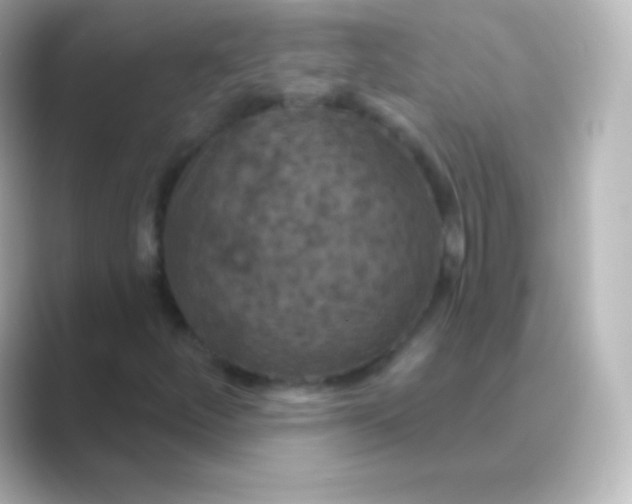 X0000088691252200706211920