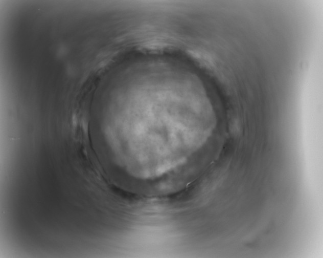 X0000088691253200706211920