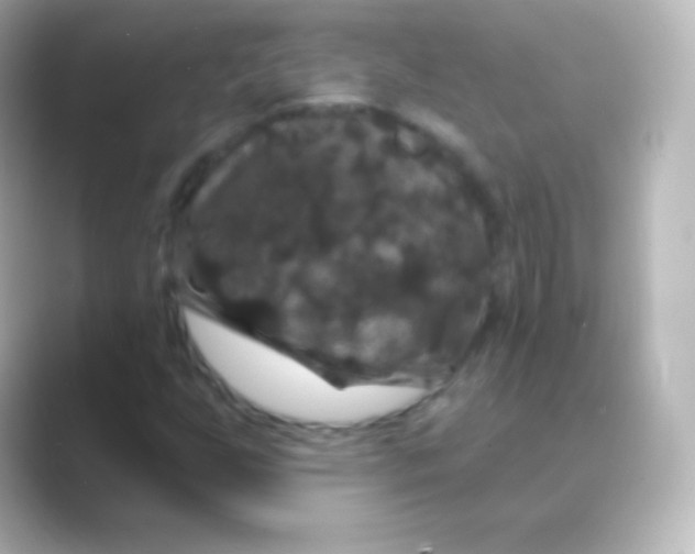 X0000088691255200706211920