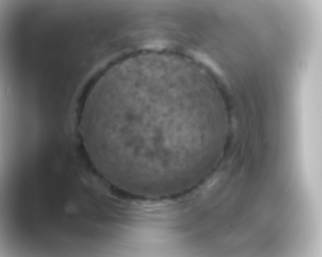 X0000088691256200706211920