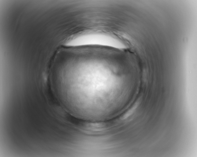 X0000088691257200706211920