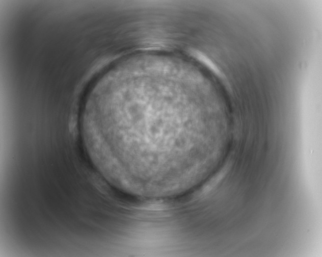 X0000088691259200706211920