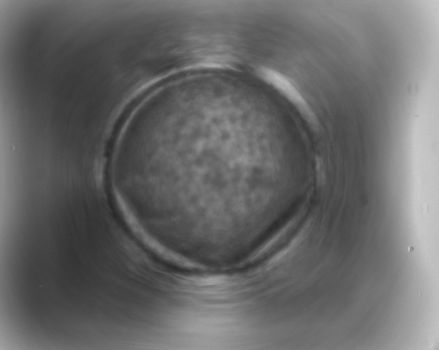 X0000088691260200706211920