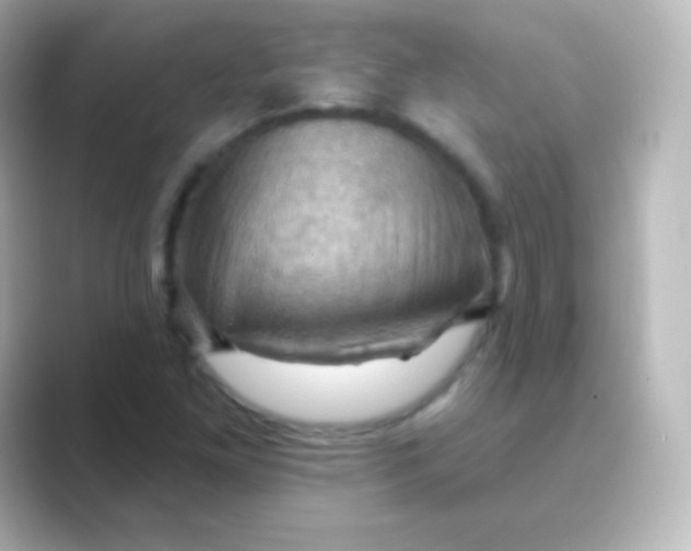 X0000088691261200706211920