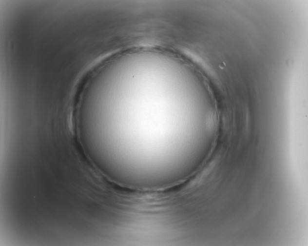 X0000088691262200706211920