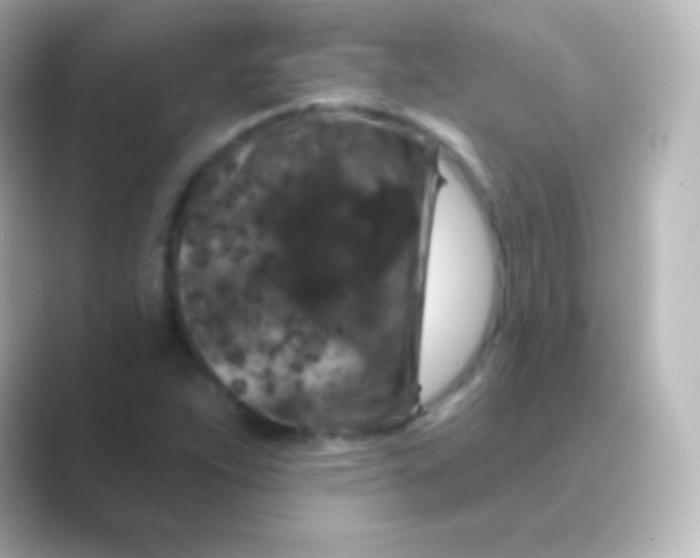X0000088691263200706211920