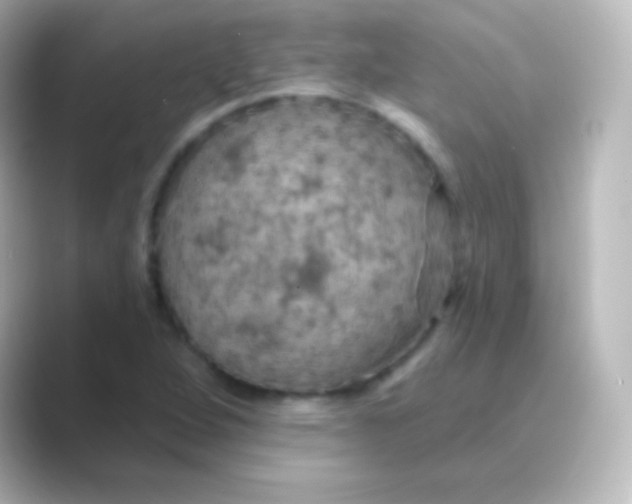 X0000088691264200706211920