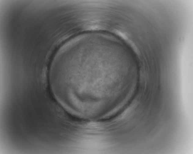 X0000088691265200706211920