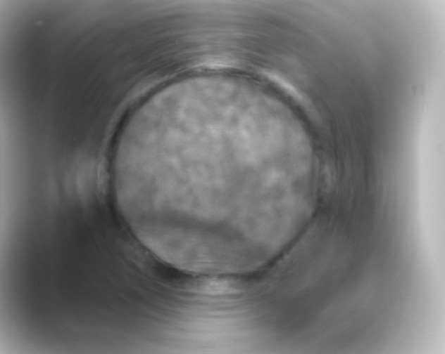 X0000088691266200706211920