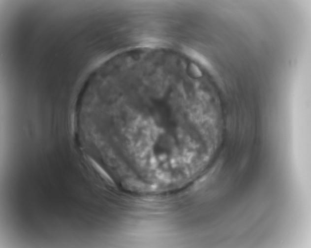 X0000088691267200706211920