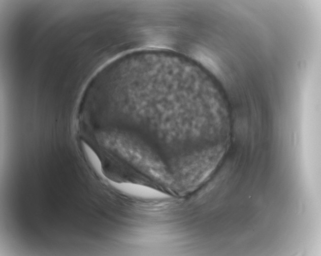 X0000088691268200706211920