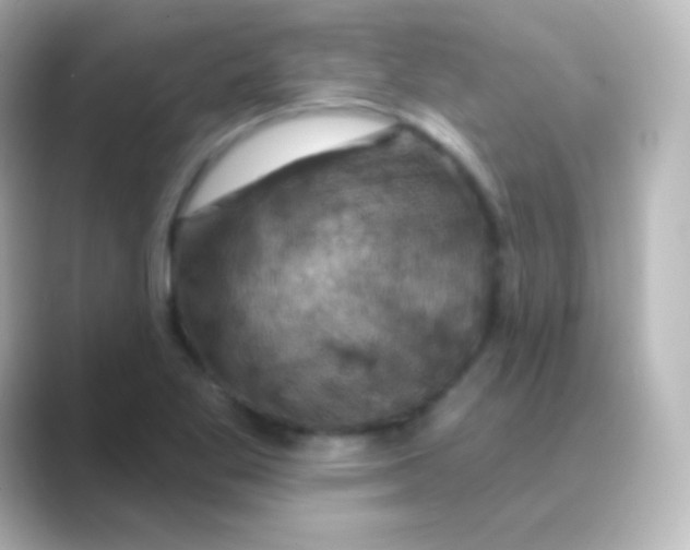 X0000088691269200706211920