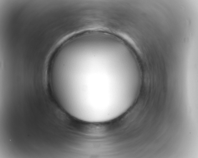 X0000088691270200706211920